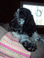 /album/ilpo/a31-03-12-006-jpg/